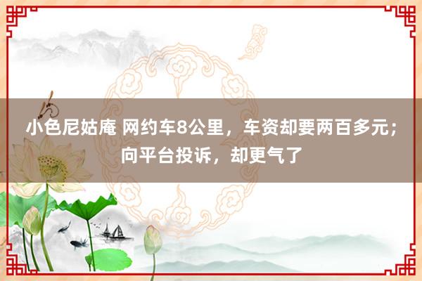 小色尼姑庵 网约车8公里，车资却要两百多元；向平台投诉，却更气了