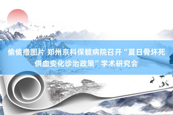 偷偷撸图片 郑州京科保髋病院召开“夏日骨坏死供血变化诊治政策”学术研究会