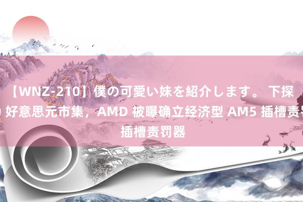 【WNZ-210】僕の可愛い妹を紹介します。 下探 100 好意思元市集，AMD 被曝确立经济型 AM5 插槽责罚器