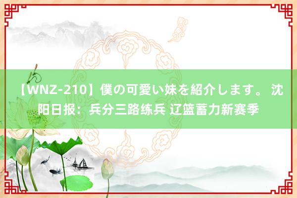 【WNZ-210】僕の可愛い妹を紹介します。 沈阳日报：兵分三路练兵 辽篮蓄力新赛季