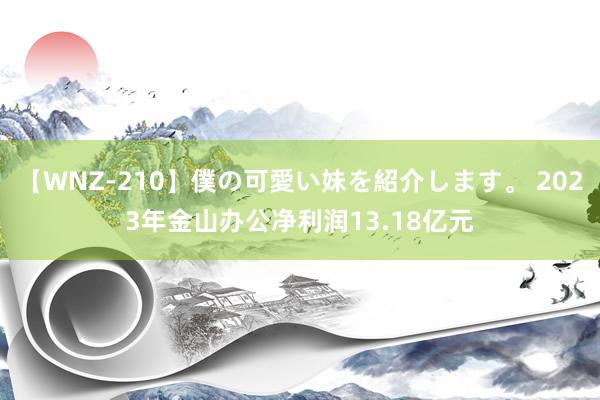 【WNZ-210】僕の可愛い妹を紹介します。 2023年金山办公净利润13.18亿元