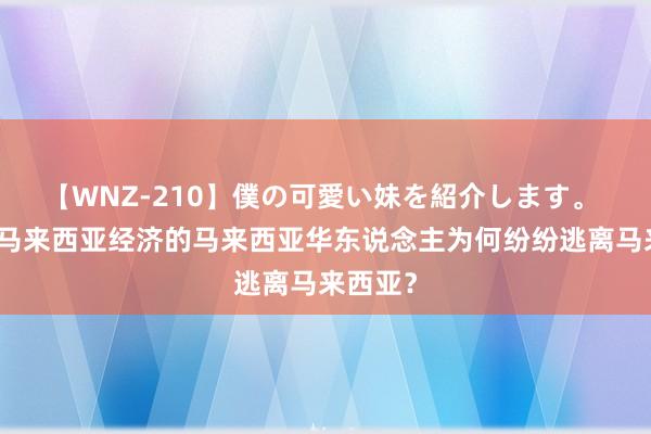 【WNZ-210】僕の可愛い妹を紹介します。 规章着马来西亚经济的马来西亚华东说念主为何纷纷逃离马来西亚？