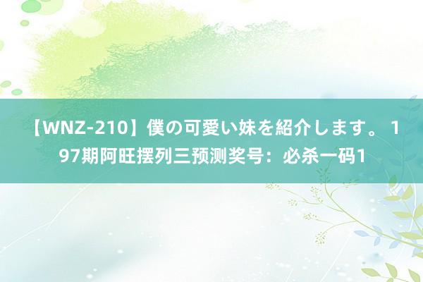 【WNZ-210】僕の可愛い妹を紹介します。 197期阿旺摆列三预测奖号：必杀一码1