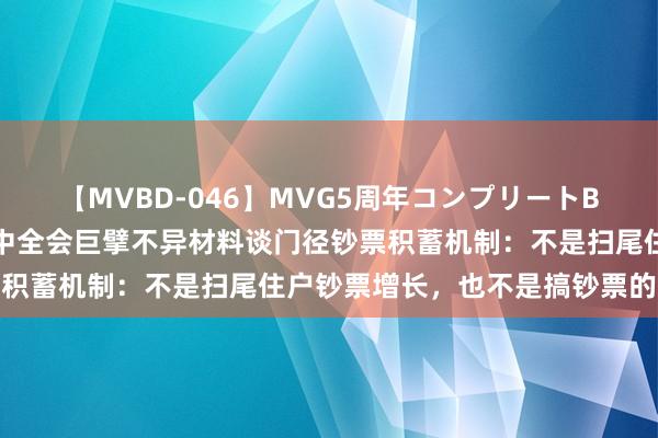 【MVBD-046】MVG5周年コンプリートBOX ゴールド 二十届三中全会巨擘不异材料谈门径钞票积蓄机制：不是扫尾住户钞票增长，也不是搞钞票的平均化