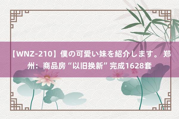 【WNZ-210】僕の可愛い妹を紹介します。 郑州：商品房“以旧换新”完成1628套