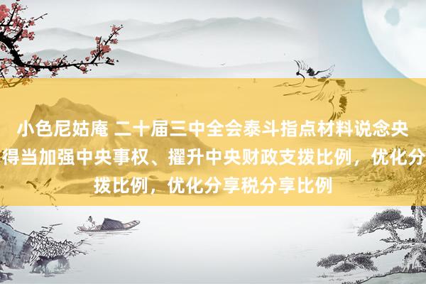 小色尼姑庵 二十届三中全会泰斗指点材料说念央地财政立异：得当加强中央事权、擢升中央财政支拨比例，优化分享税分享比例