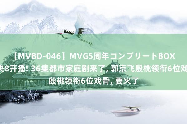 【MVBD-046】MVG5周年コンプリートBOX ゴールド 央8开播! 36集都市家庭剧来了， 郭京飞殷桃领衔6位戏骨， 要火了