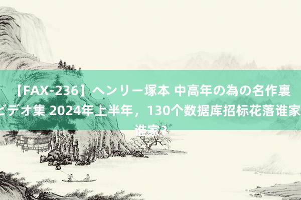 【FAX-236】ヘンリー塚本 中高年の為の名作裏ビデオ集 2024年上半年，130个数据库招标花落谁家？