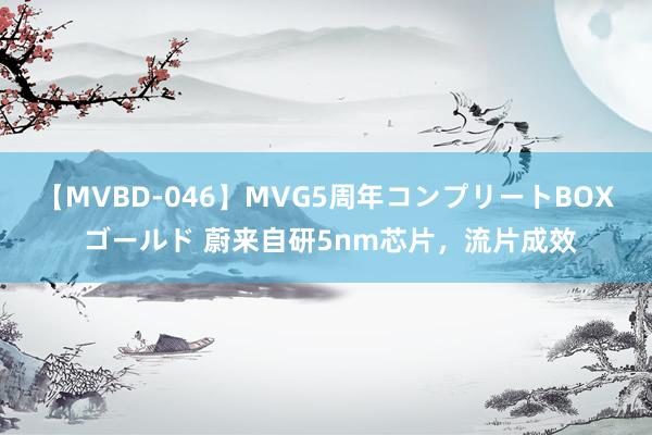 【MVBD-046】MVG5周年コンプリートBOX ゴールド 蔚来自研5nm芯片，流片成效