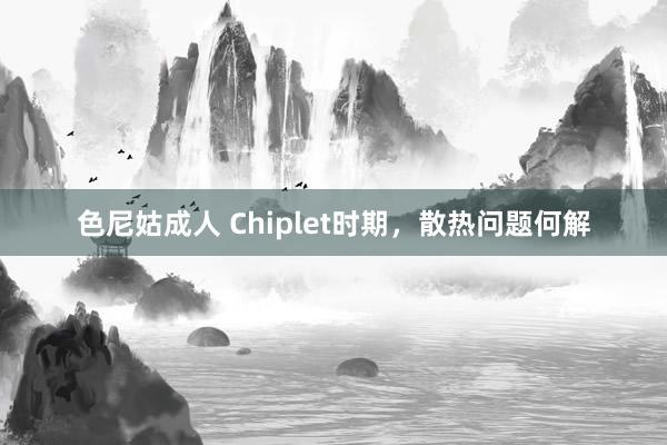 色尼姑成人 Chiplet时期，散热问题何解