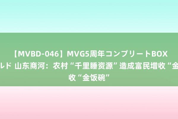 【MVBD-046】MVG5周年コンプリートBOX ゴールド 山东商河：农村“千里睡资源”造成富民增收“金饭碗”