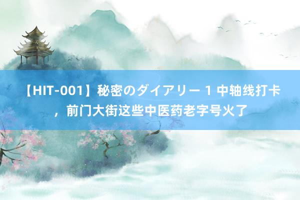 【HIT-001】秘密のダイアリー 1 中轴线打卡，前门大街这些中医药老字号火了