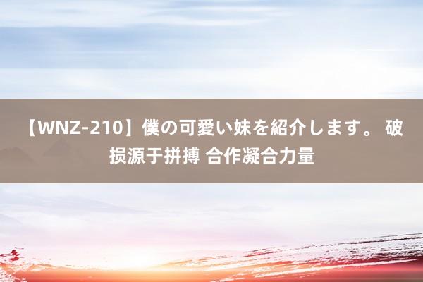 【WNZ-210】僕の可愛い妹を紹介します。 破损源于拼搏 合作凝合力量