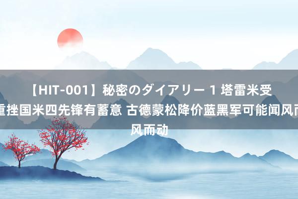 【HIT-001】秘密のダイアリー 1 塔雷米受伤重挫国米四先锋有蓄意 古德蒙松降价蓝黑军可能闻风而动