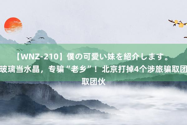 【WNZ-210】僕の可愛い妹を紹介します。 拿玻璃当水晶，专骗“老乡”！北京打掉4个涉旅骗取团伙