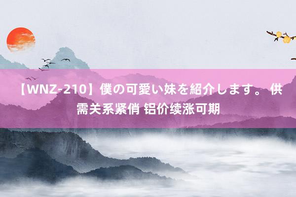 【WNZ-210】僕の可愛い妹を紹介します。 供需关系紧俏 铝价续涨可期