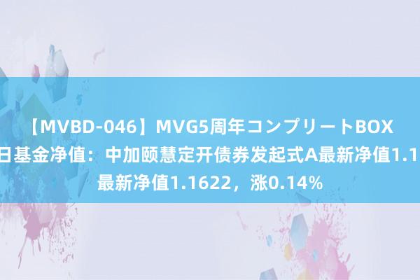 【MVBD-046】MVG5周年コンプリートBOX ゴールド 8月2日基金净值：中加颐慧定开债券发起式A最新净值1.1622，涨0.14%