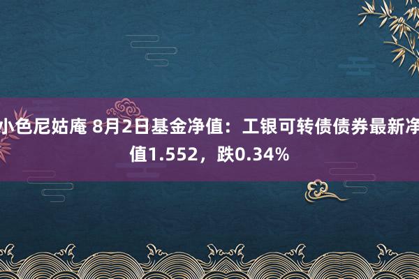 小色尼姑庵 8月2日基金净值：工银可转债债券最新净值1.552，跌0.34%