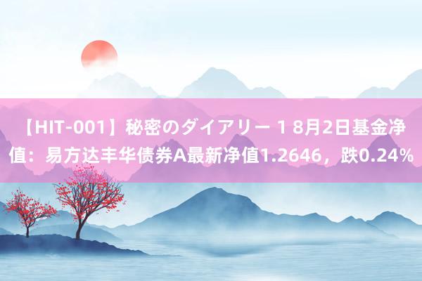 【HIT-001】秘密のダイアリー 1 8月2日基金净值：易方达丰华债券A最新净值1.2646，跌0.24%