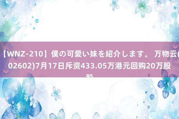 【WNZ-210】僕の可愛い妹を紹介します。 万物云(02602)7月17日斥资433.05万港元回购20万股