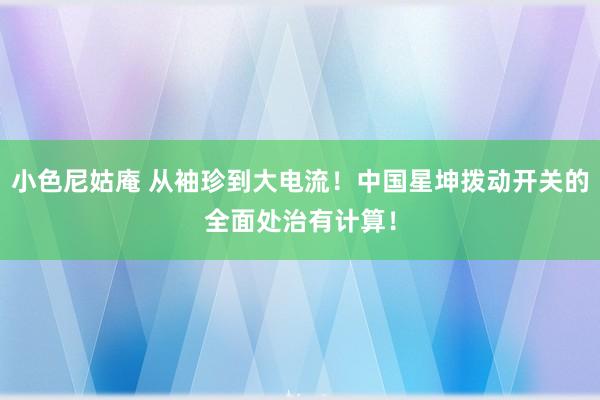 小色尼姑庵 从袖珍到大电流！中国星坤拨动开关的全面处治有计算！