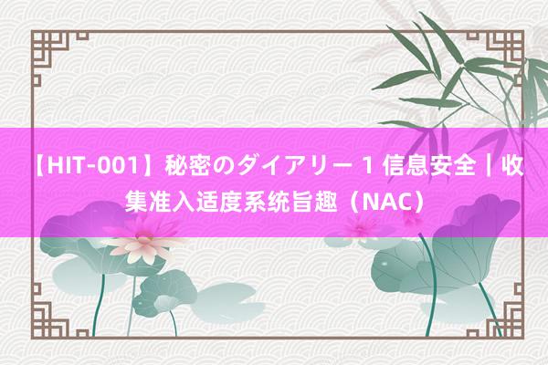 【HIT-001】秘密のダイアリー 1 信息安全｜收集准入适度系统旨趣（NAC）