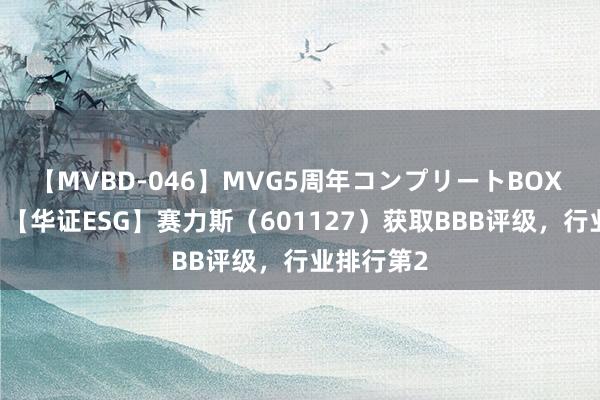 【MVBD-046】MVG5周年コンプリートBOX ゴールド 【华证ESG】赛力斯（601127）获取BBB评级，行业排行第2