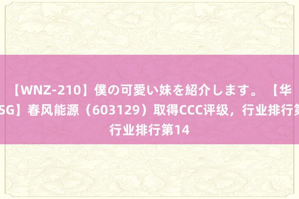 【WNZ-210】僕の可愛い妹を紹介します。 【华证ESG】春风能源（603129）取得CCC评级，行业排行第14