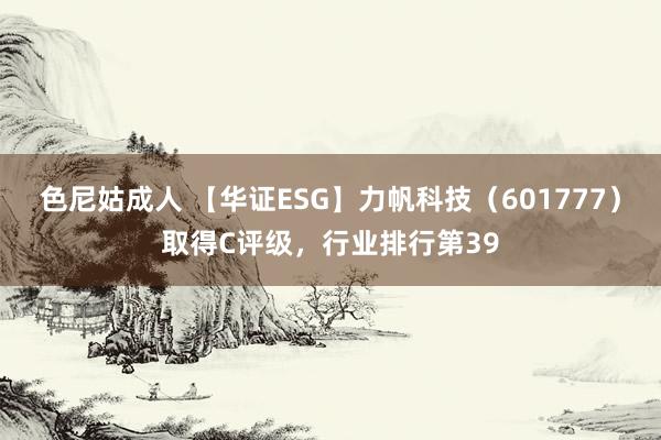 色尼姑成人 【华证ESG】力帆科技（601777）取得C评级，行业排行第39