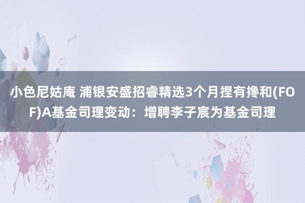 小色尼姑庵 浦银安盛招睿精选3个月捏有搀和(FOF)A基金司理变动：增聘李子宸为基金司理