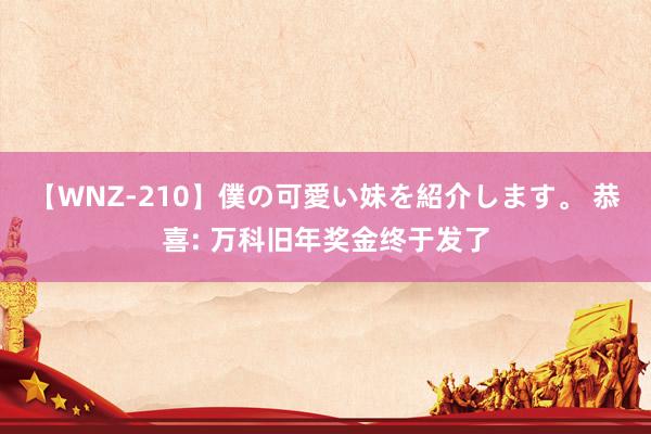 【WNZ-210】僕の可愛い妹を紹介します。 恭喜: 万科旧年奖金终于发了