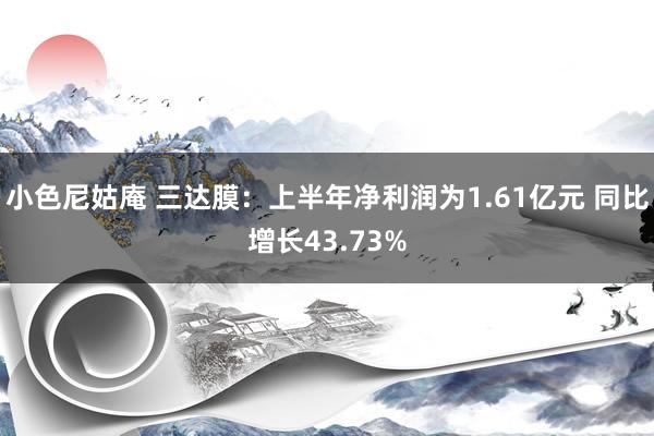 小色尼姑庵 三达膜：上半年净利润为1.61亿元 同比增长43.73%