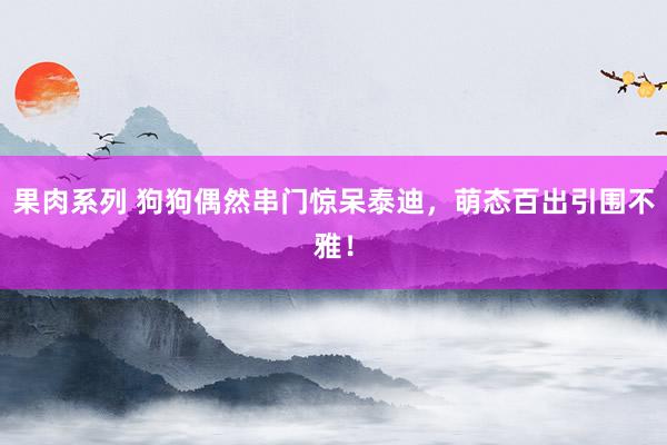 果肉系列 狗狗偶然串门惊呆泰迪，萌态百出引围不雅！