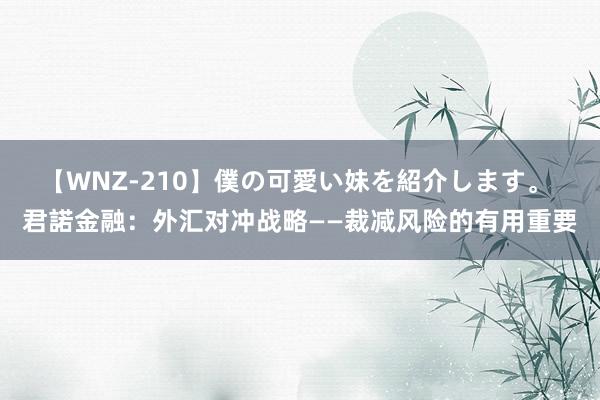 【WNZ-210】僕の可愛い妹を紹介します。 君諾金融：外汇对冲战略——裁减风险的有用重要