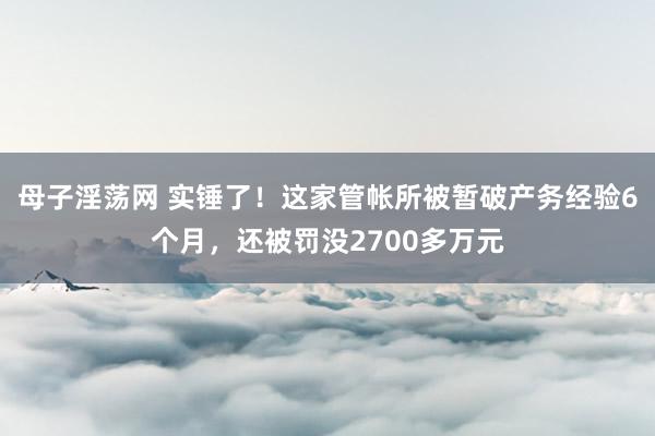 母子淫荡网 实锤了！这家管帐所被暂破产务经验6个月，还被罚没2700多万元