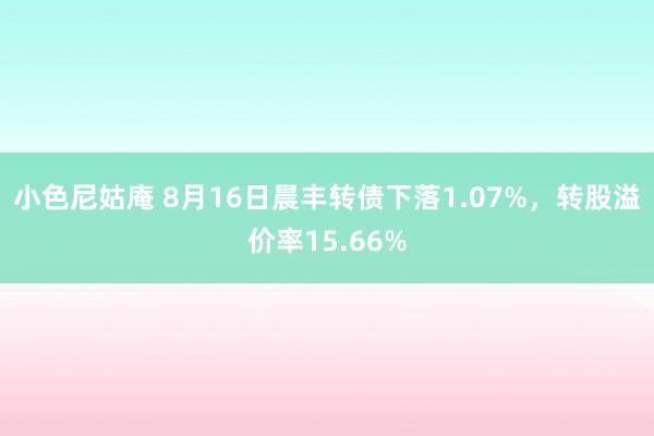 小色尼姑庵 8月16日晨丰转债下落1.07%，转股溢价率15.66%