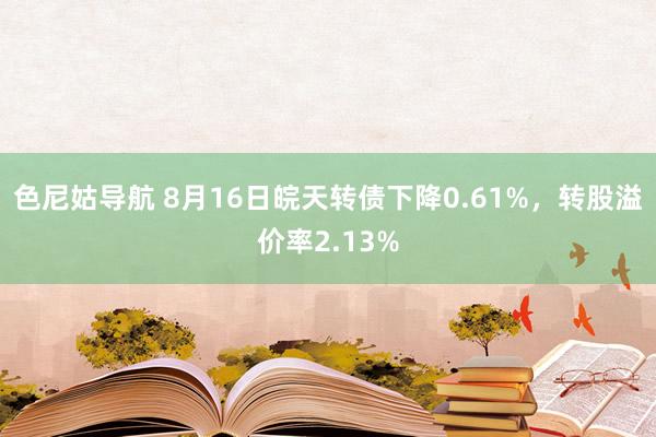 色尼姑导航 8月16日皖天转债下降0.61%，转股溢价率2.13%