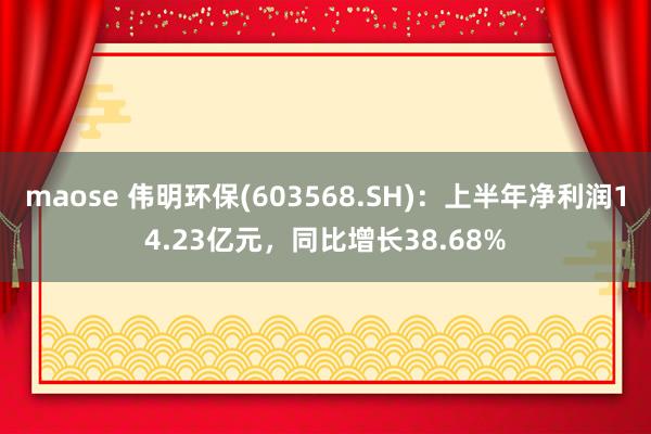 maose 伟明环保(603568.SH)：上半年净利润14.23亿元，同比增长38.68%