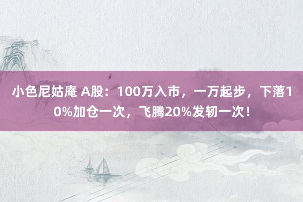 小色尼姑庵 A股：100万入市，一万起步，下落10%加仓一次，飞腾20%发轫一次！