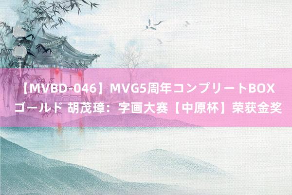 【MVBD-046】MVG5周年コンプリートBOX ゴールド 胡茂璋：字画大赛【中原杯】荣获金奖