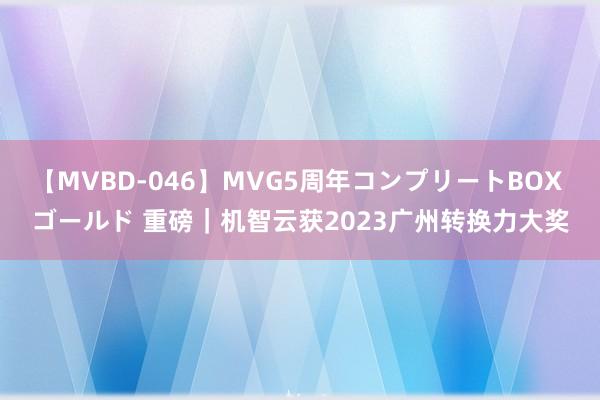 【MVBD-046】MVG5周年コンプリートBOX ゴールド 重磅｜机智云获2023广州转换力大奖