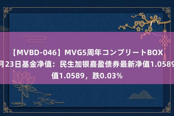 【MVBD-046】MVG5周年コンプリートBOX ゴールド 8月23日基金净值：民生加银嘉盈债券最新净值1.0589，跌0.03%