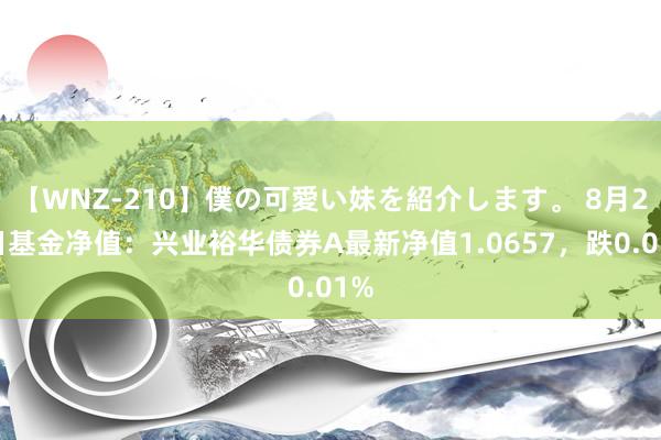 【WNZ-210】僕の可愛い妹を紹介します。 8月23日基金净值：兴业裕华债券A最新净值1.0657，跌0.01%