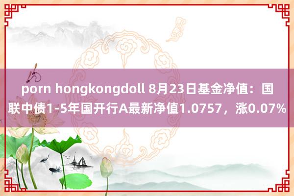 porn hongkongdoll 8月23日基金净值：国联中债1-5年国开行A最新净值1.0757，涨0.07%