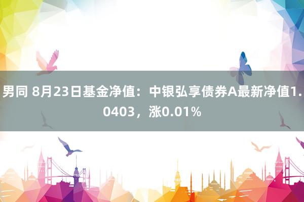 男同 8月23日基金净值：中银弘享债券A最新净值1.0403，涨0.01%