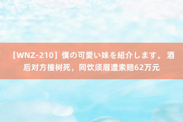 【WNZ-210】僕の可愛い妹を紹介します。 酒后对方撞树死，同饮须眉遭索赔62万元