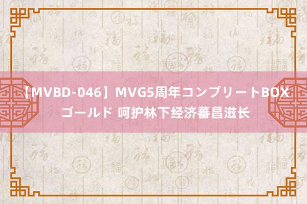 【MVBD-046】MVG5周年コンプリートBOX ゴールド 呵护林下经济蕃昌滋长