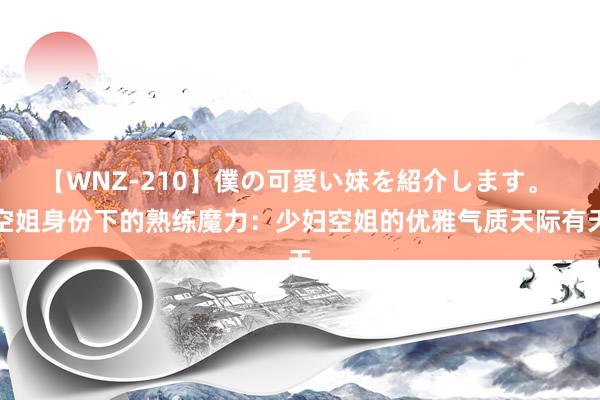 【WNZ-210】僕の可愛い妹を紹介します。 空姐身份下的熟练魔力：少妇空姐的优雅气质天际有天