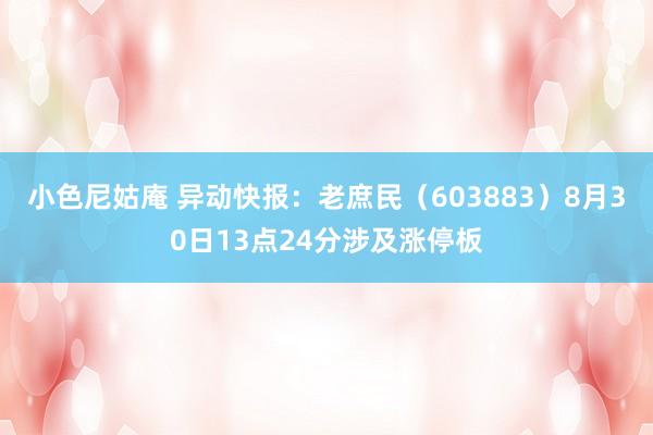 小色尼姑庵 异动快报：老庶民（603883）8月30日13点24分涉及涨停板