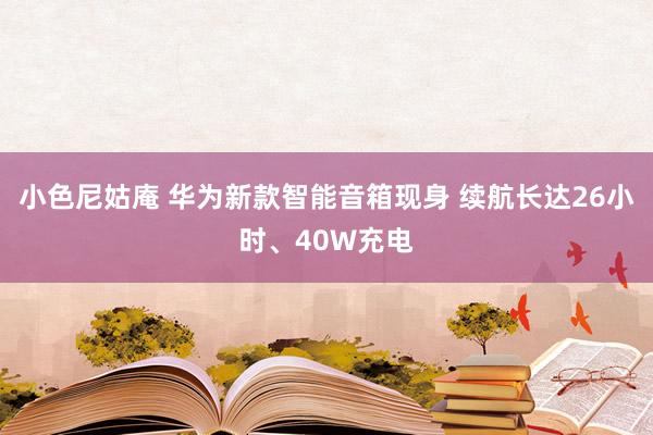 小色尼姑庵 华为新款智能音箱现身 续航长达26小时、40W充电